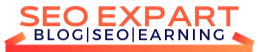 SEO Expart